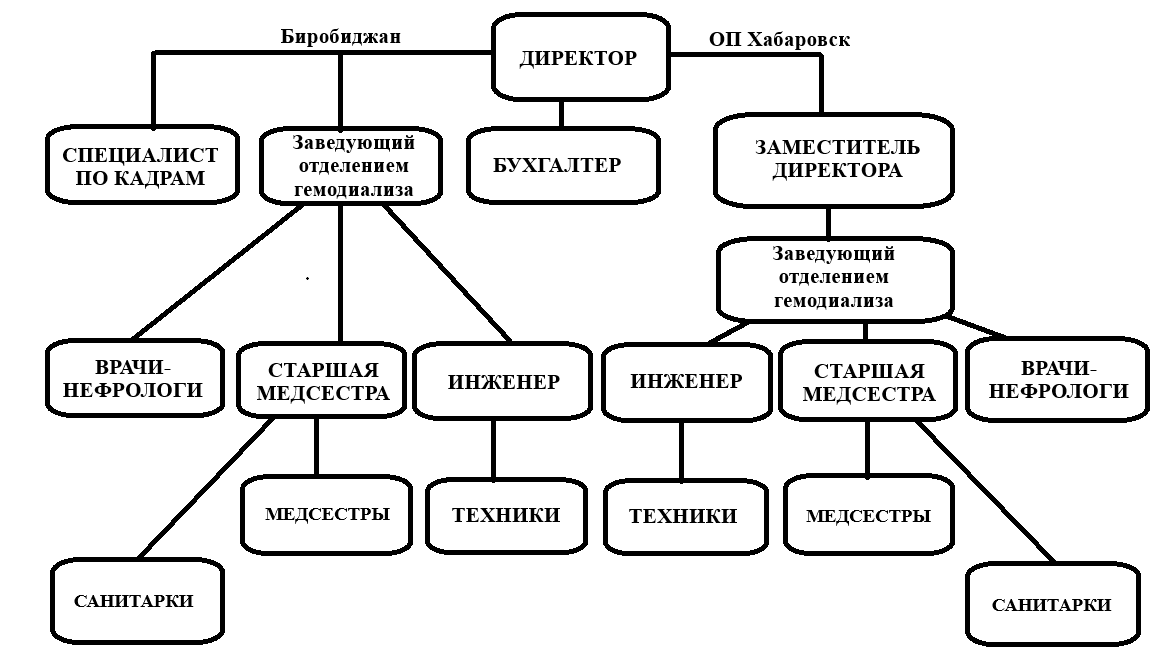 Структура организации